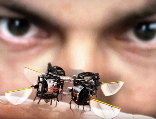 Why are Robot Insects made?