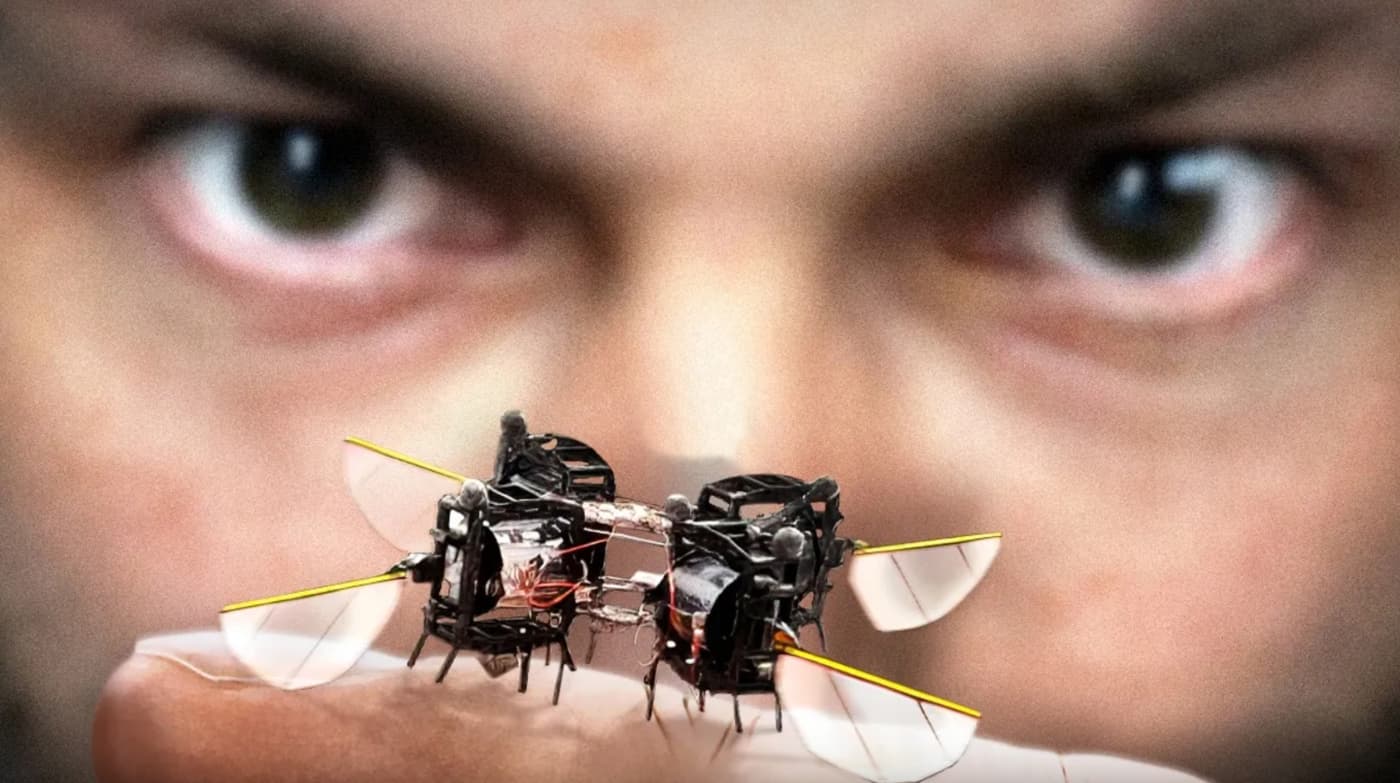 Robot Insects