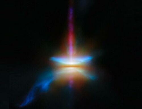 A stunning Dusty and Active disc from Webb Space Telescope