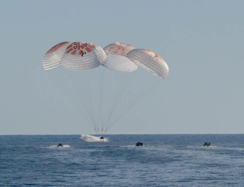 Dolphins welcome SpaceX Crew-9 Dragon spacecraft