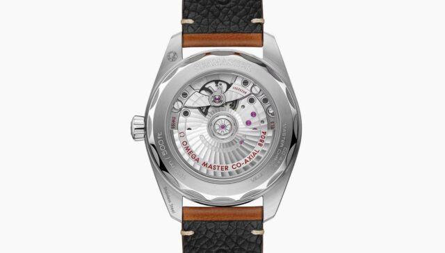 OMEGA Railmaster Watch (4)