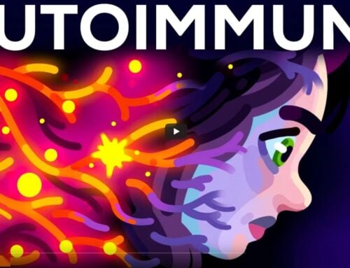 Autoimmune- When Your Body Attacks Itself