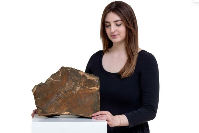 Martian Meteorite NWA 16788