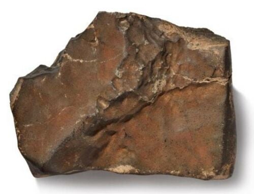 Martian Meteorite Exceeds Auction Expectations
