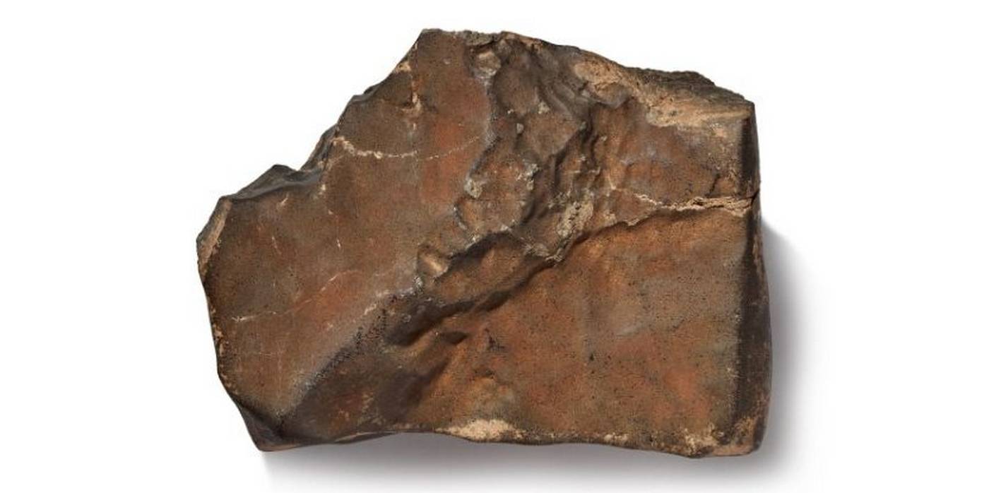 Martian Meteorite NWA 16788