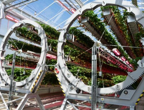 The Future of Strawberry Farming according to James Dyson