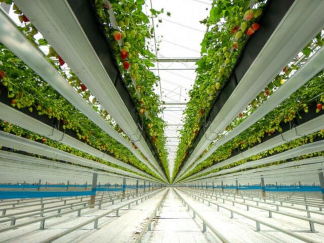 The Future of Farming according to James Dyson (3)