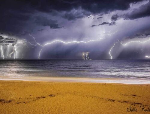 Lightning Kills Far More Trees Than You Might Think
