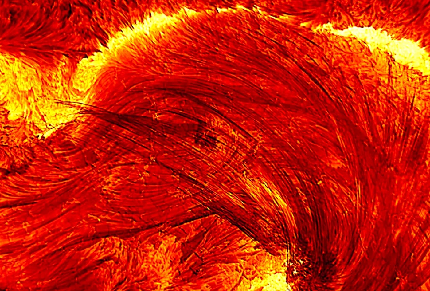 The full version of DKIST's image of narrow coronal loop strands