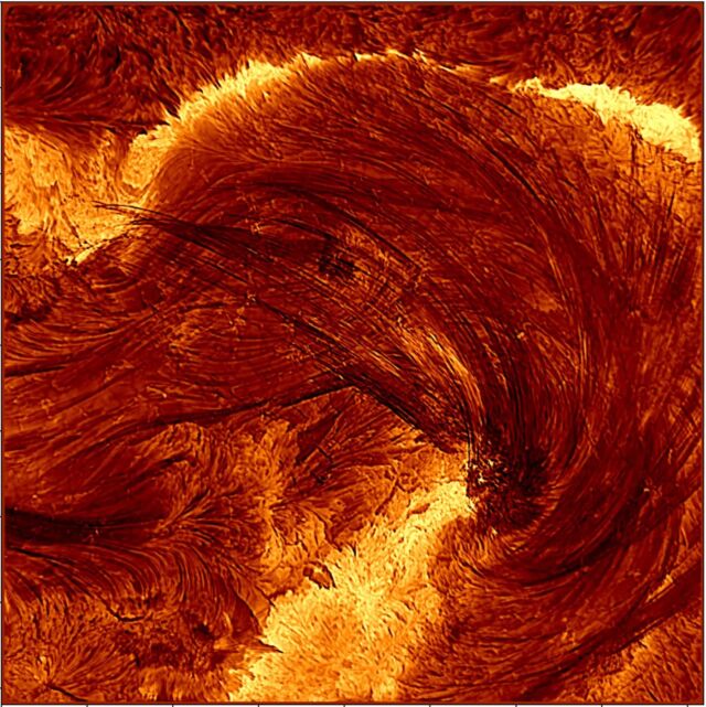 The full version of DKIST's image of narrow coronal loop strands