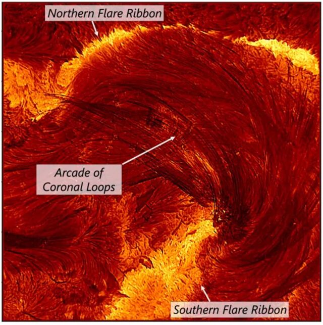 The full version of DKIST's image of narrow coronal loop strands