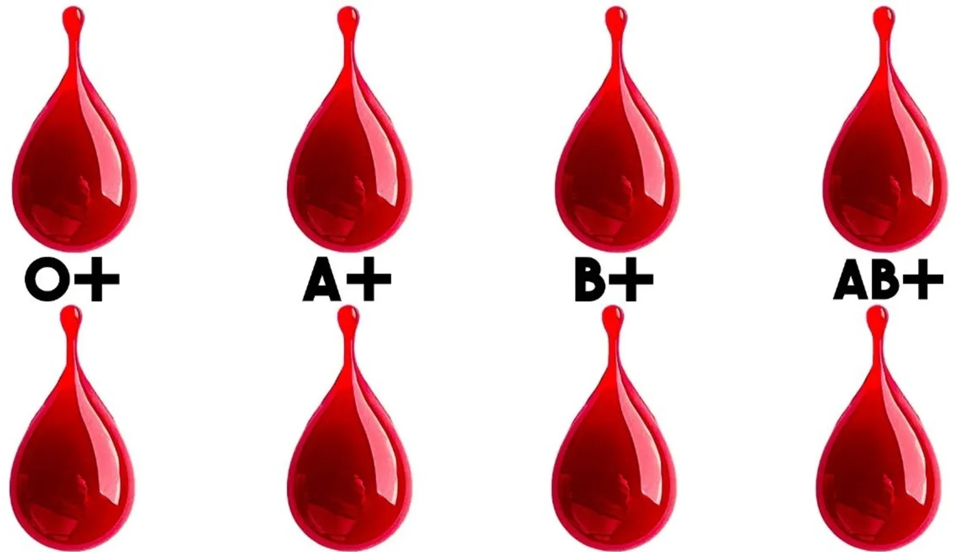Blood Type