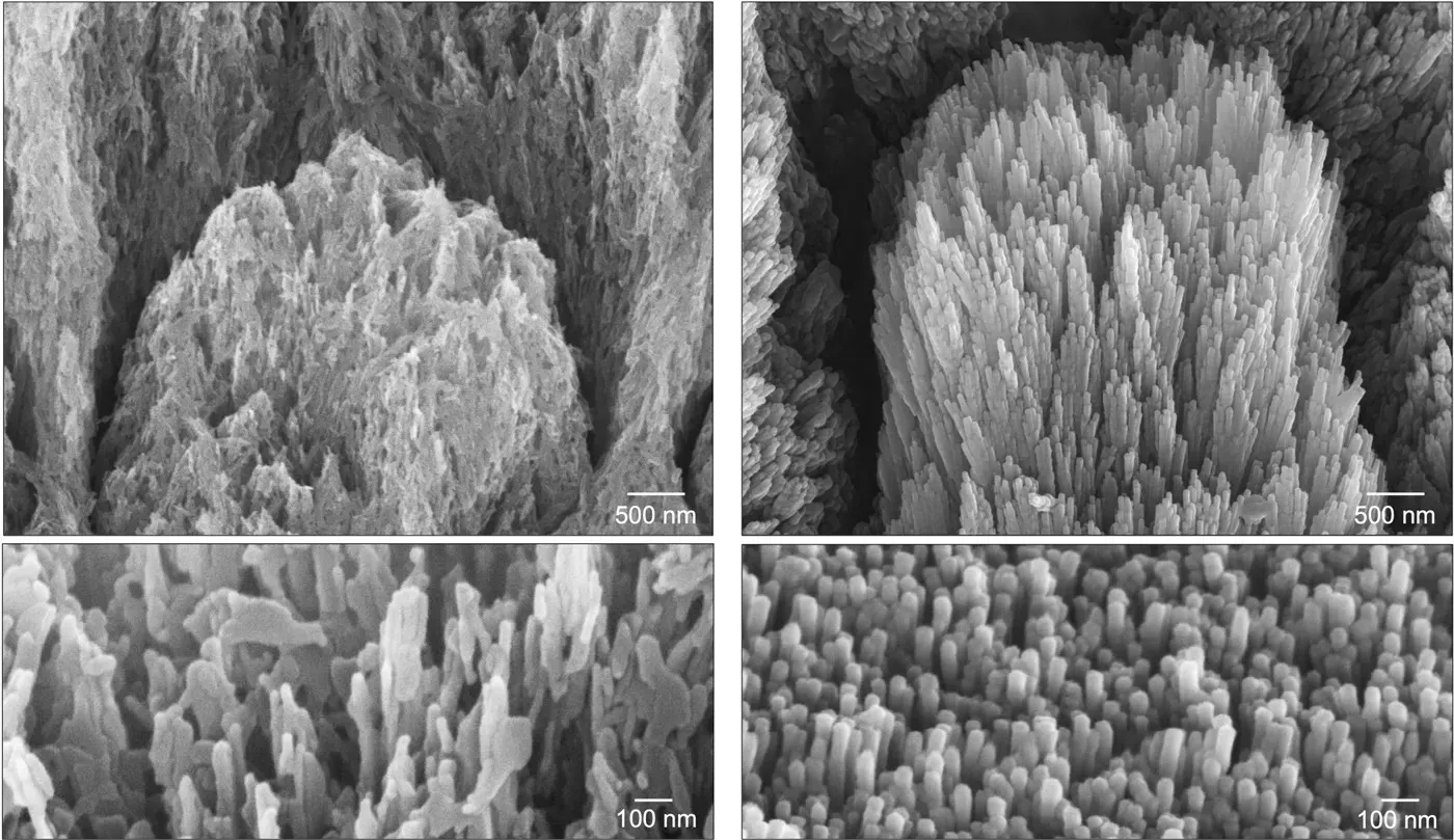 New Gel Regenerates Tooth Enamel