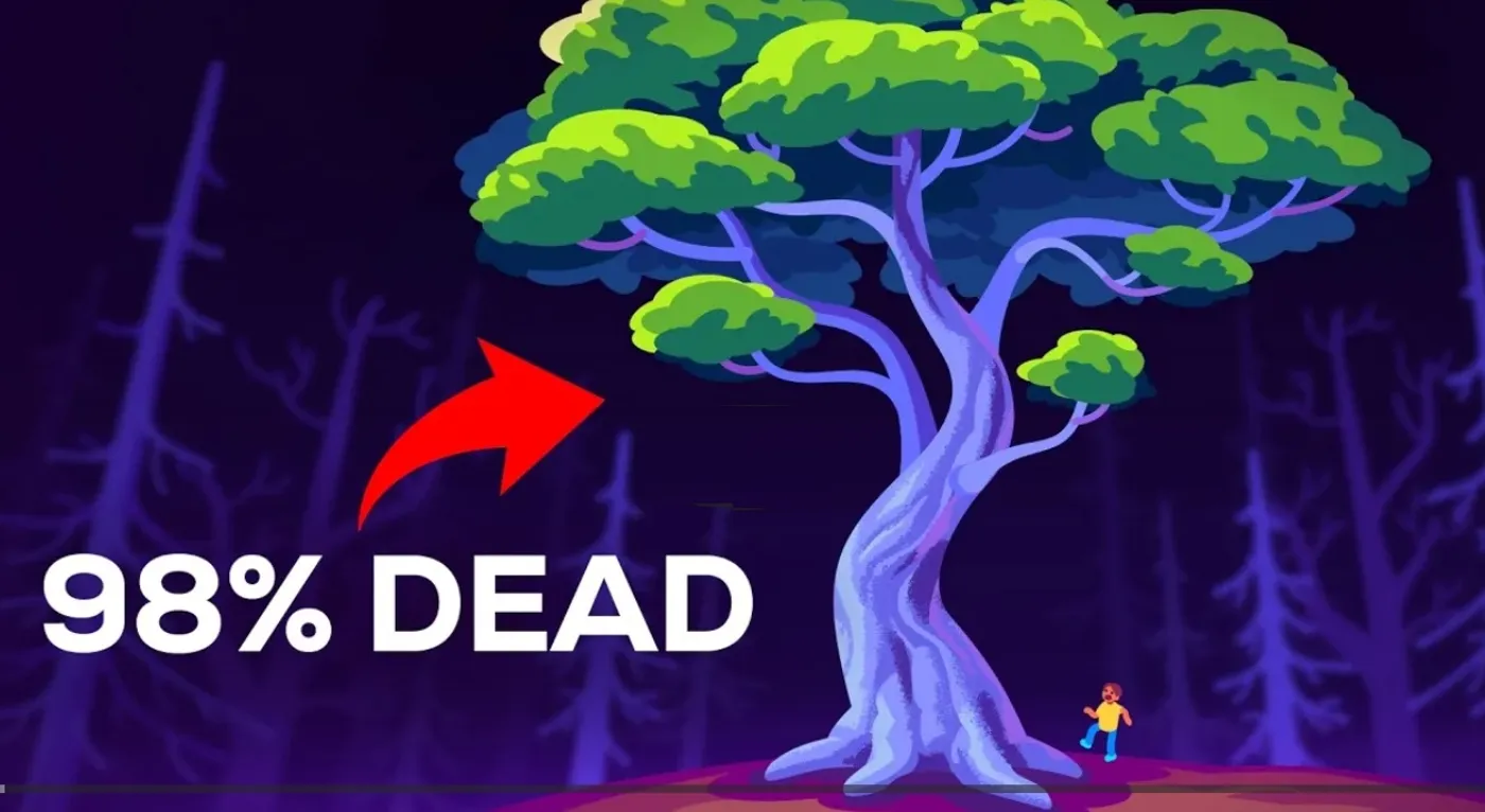 Trees Are So Weird