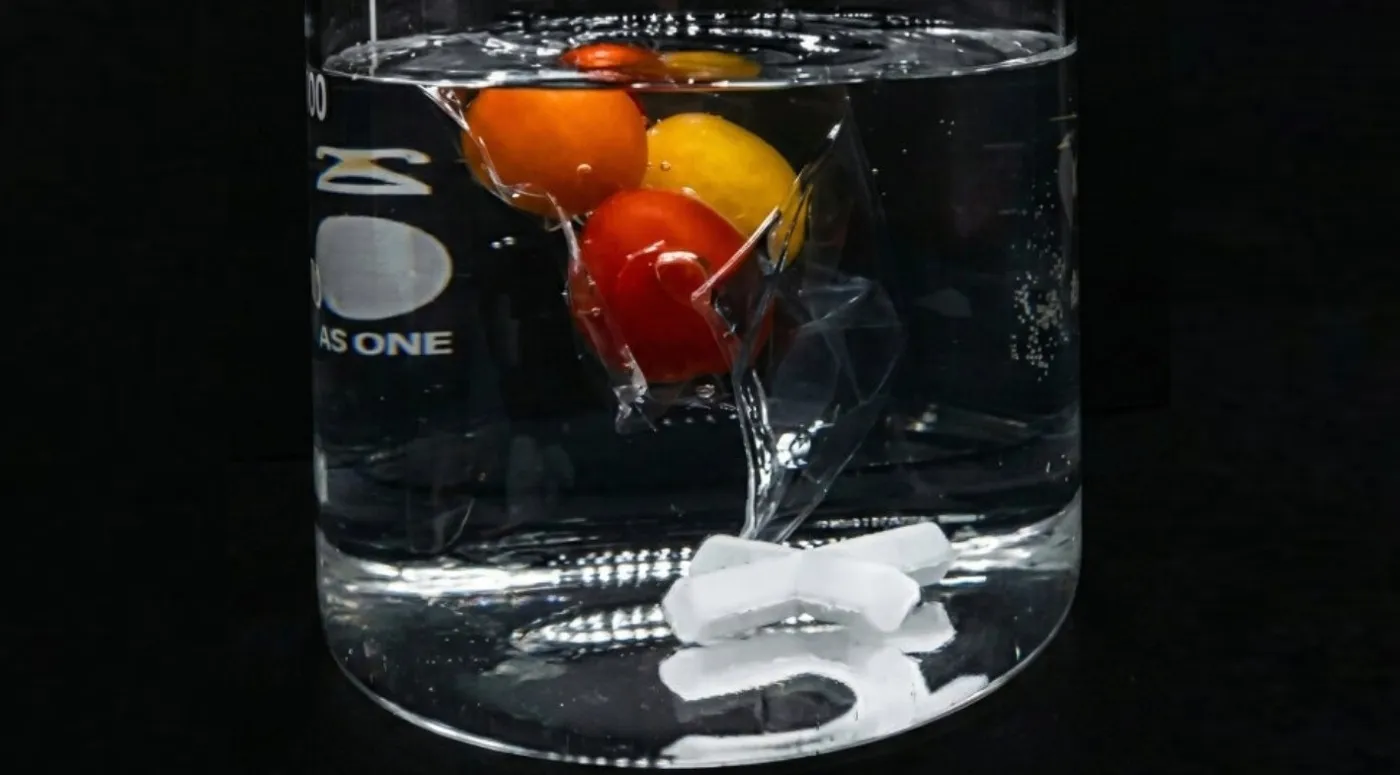 Plant-Rased Fully Degradable Plastic