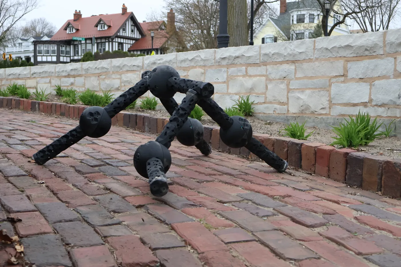 AI-Evolved Adaptable Robots