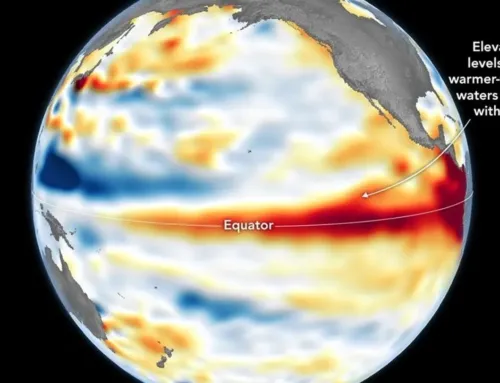 El Niño continued to Grow Stronger in early June